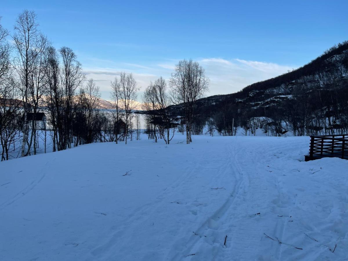 Aurora Woods Villa Skjervoy Luaran gambar